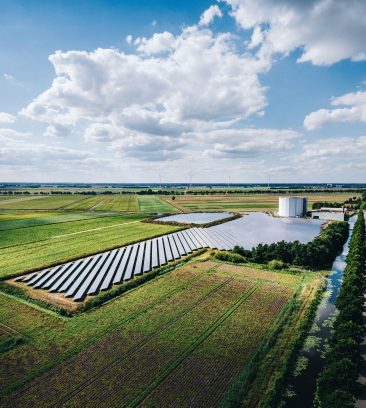 Zonneperceel Nieuwe Pekela